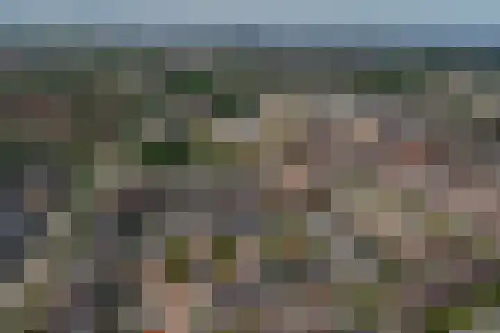 Tonselsehof 30 Harderwijk thumbnail 32