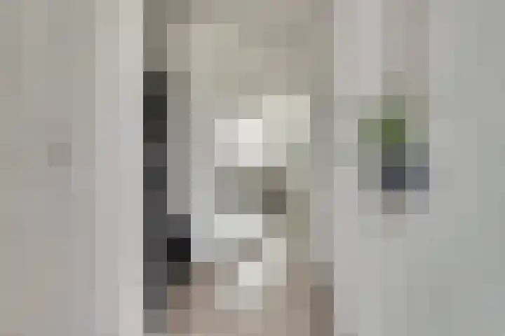 Tonselsehof 30 Harderwijk thumbnail 7