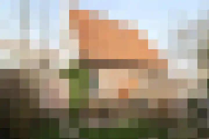 Tonslagerij 1 Leeuwarden thumbnail 53