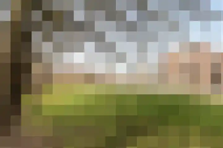 Tonslagerij 1 Leeuwarden thumbnail 60