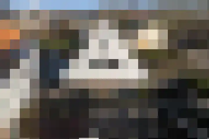 Tonslagerij 1 Leeuwarden thumbnail 66