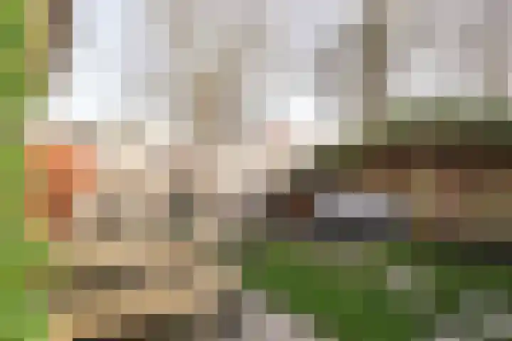 Tonslagerij 1 Leeuwarden thumbnail 8