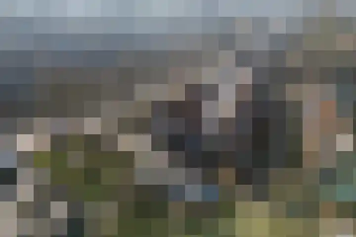 Tonslagerij 1 Leeuwarden thumbnail 9