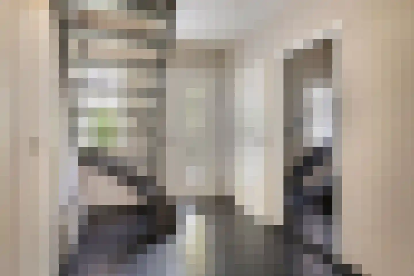 Tönsweg 13 Losser thumbnail 12