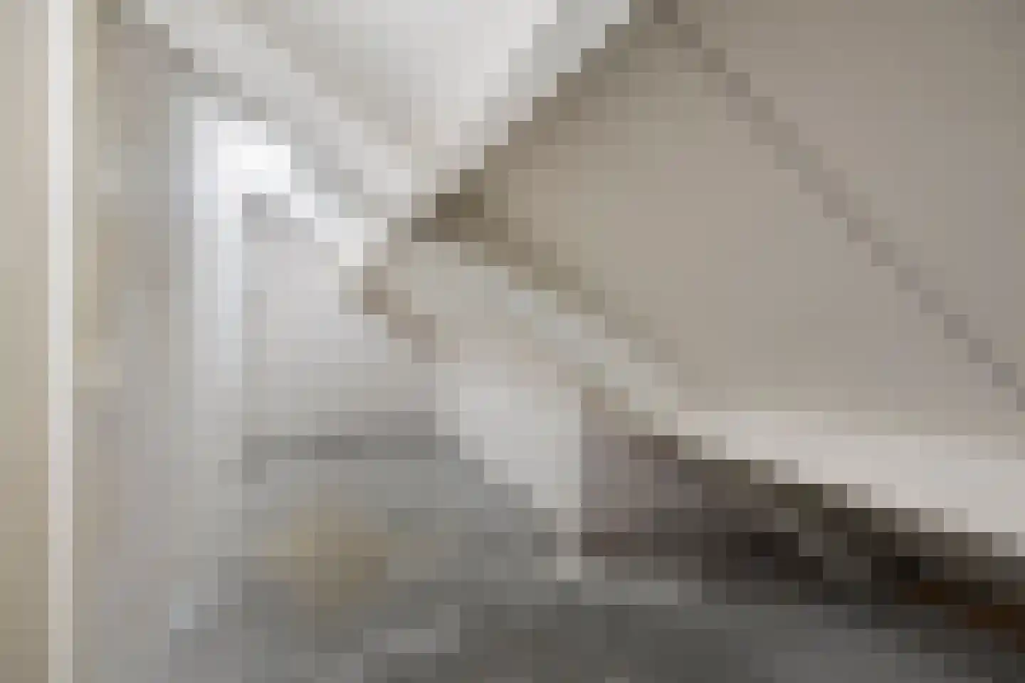 Tönsweg 13 Losser thumbnail 36