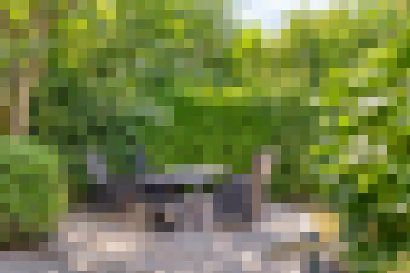 Tönsweg 13 Losser thumbnail 39