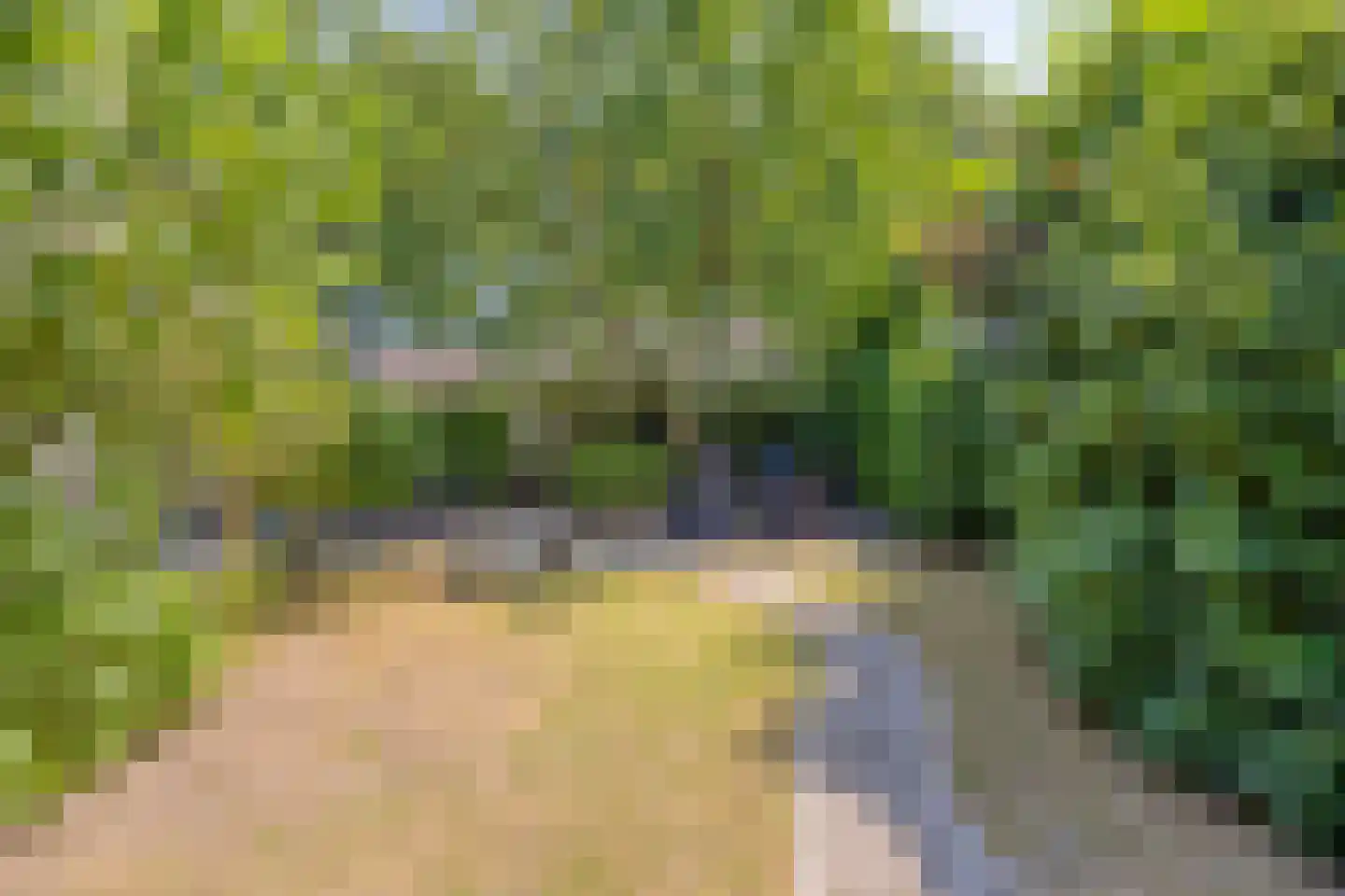 Tönsweg 13 Losser thumbnail 40