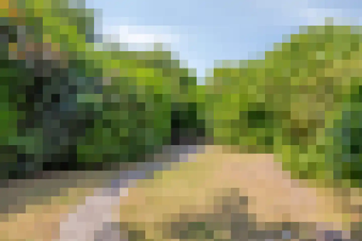 Tönsweg 13 Losser thumbnail 41