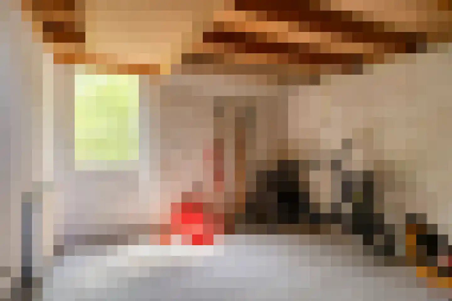 Tönsweg 13 Losser thumbnail 45