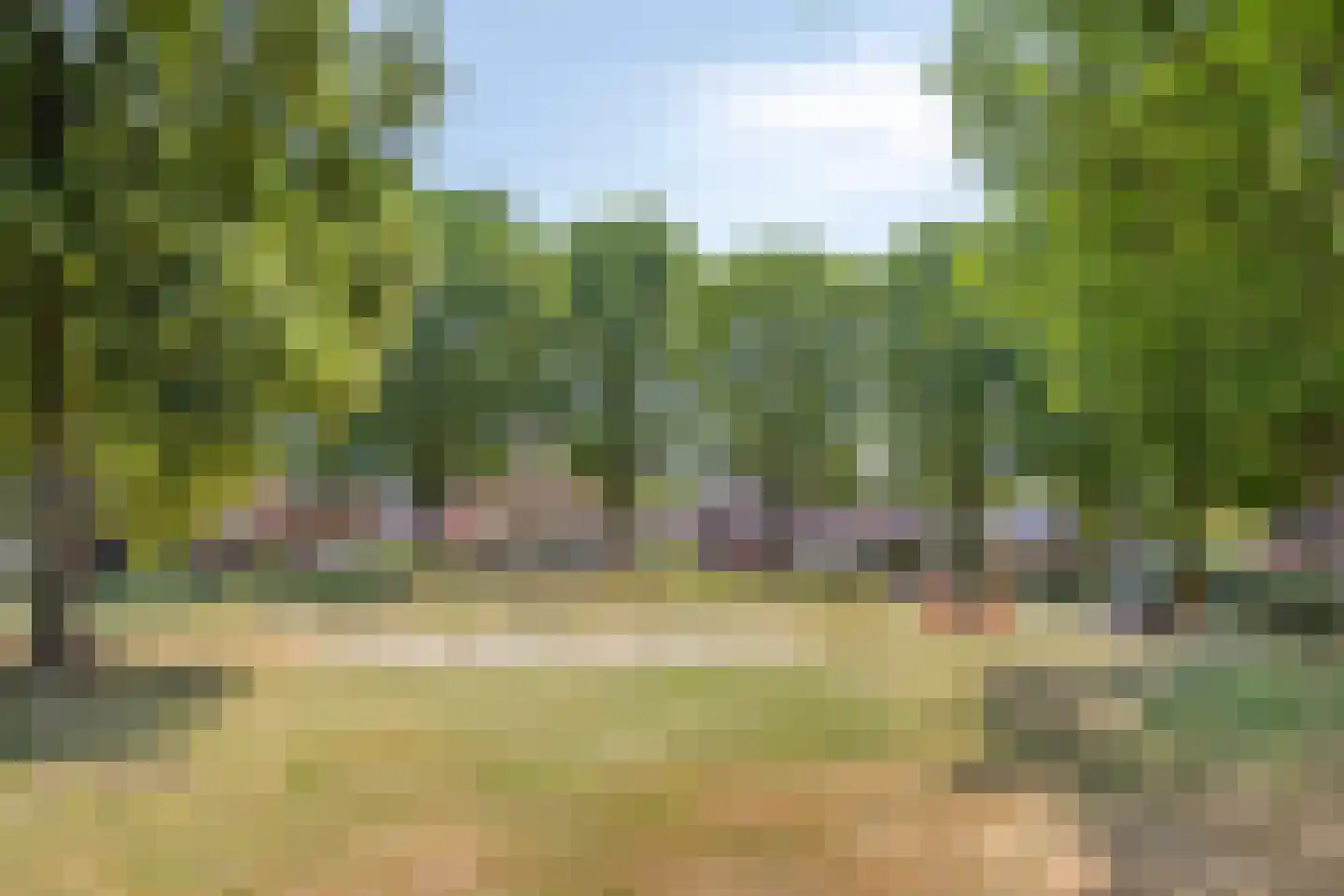 Tönsweg 13 Losser thumbnail 47