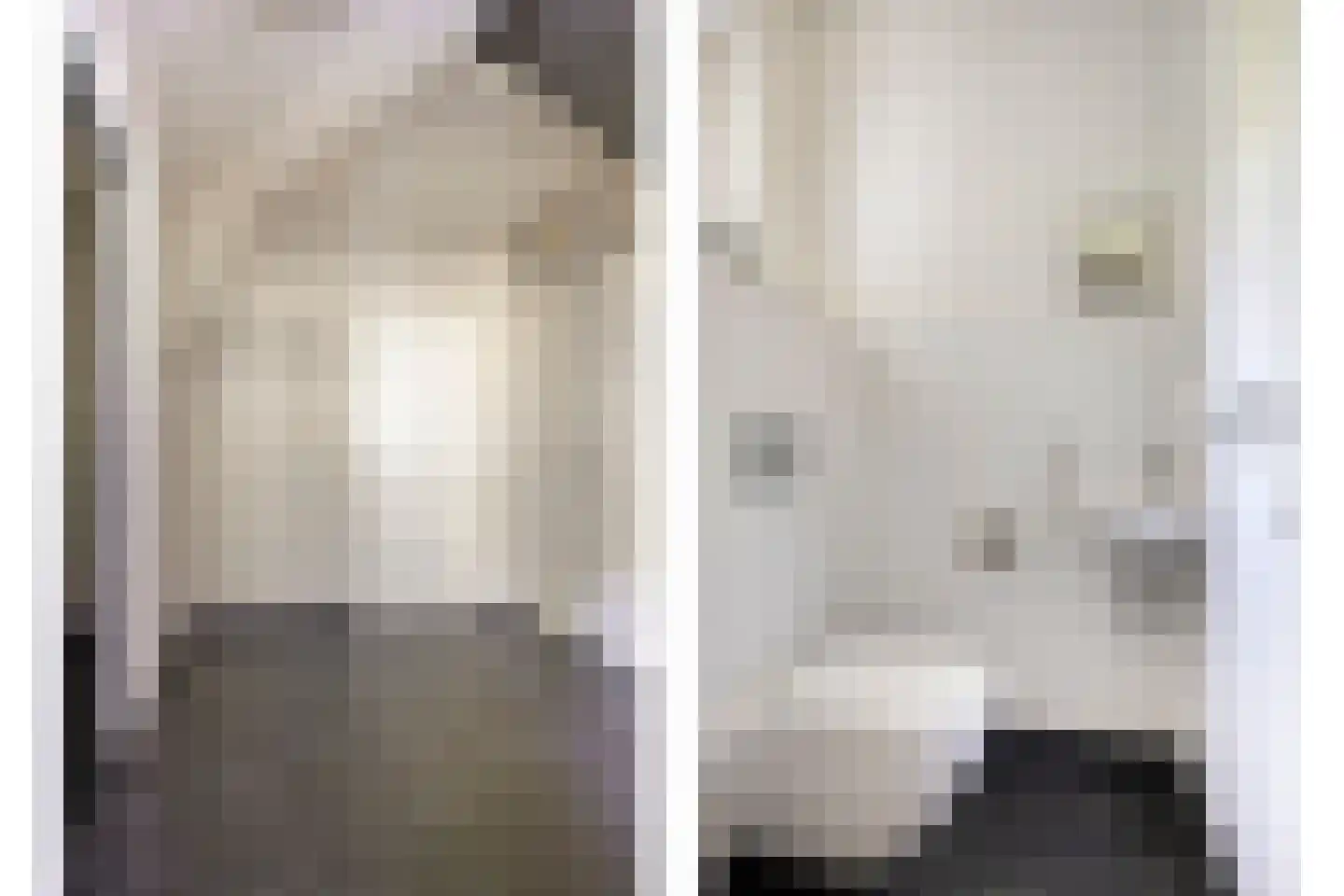 Tönsweg 13 Losser thumbnail 6