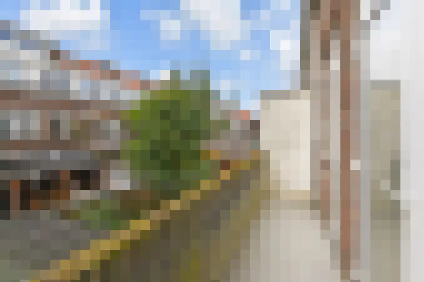 Tonystraat 41 Den Haag thumbnail 29