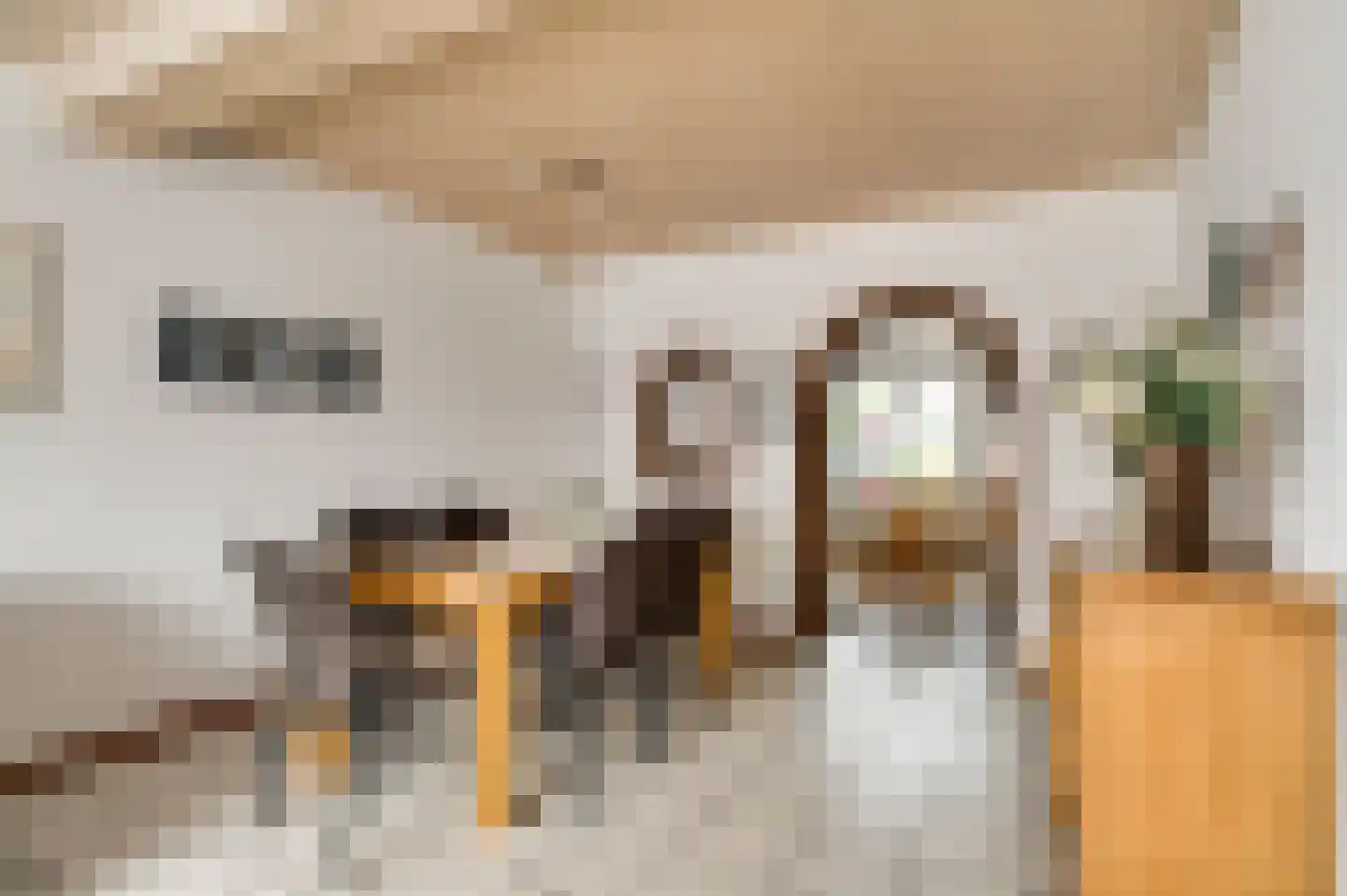 Toomstraat 3 Thorn thumbnail 14