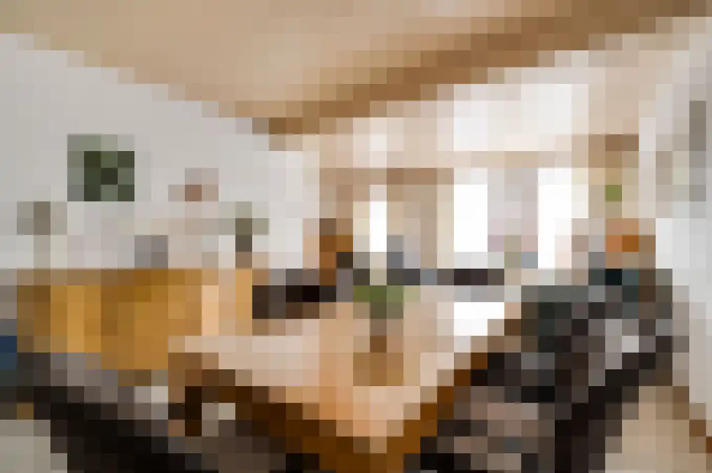 Toomstraat 3 Thorn thumbnail 16