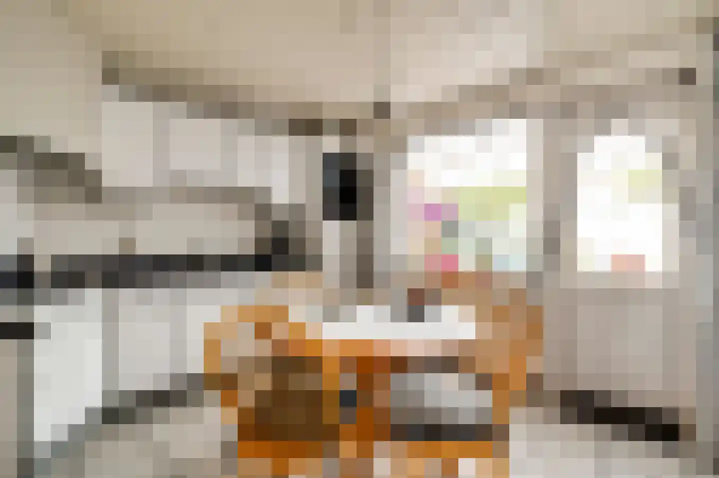 Toomstraat 3 Thorn thumbnail 18
