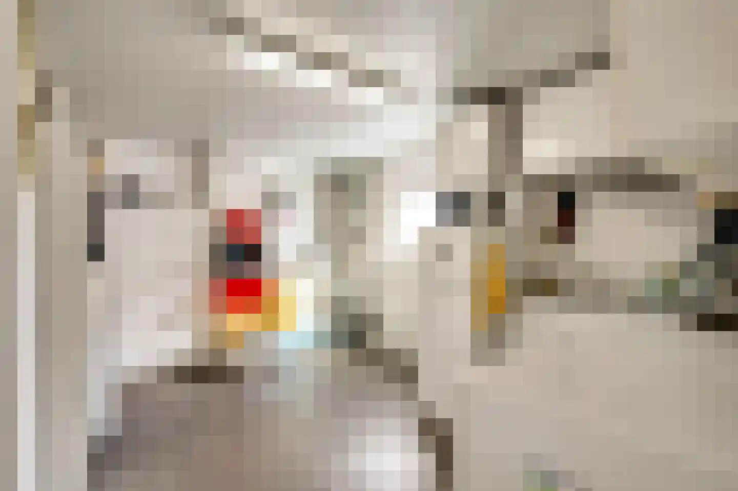 Toomstraat 3 Thorn thumbnail 21
