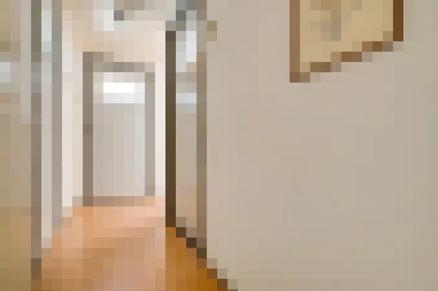Toomstraat 3 Thorn thumbnail 23