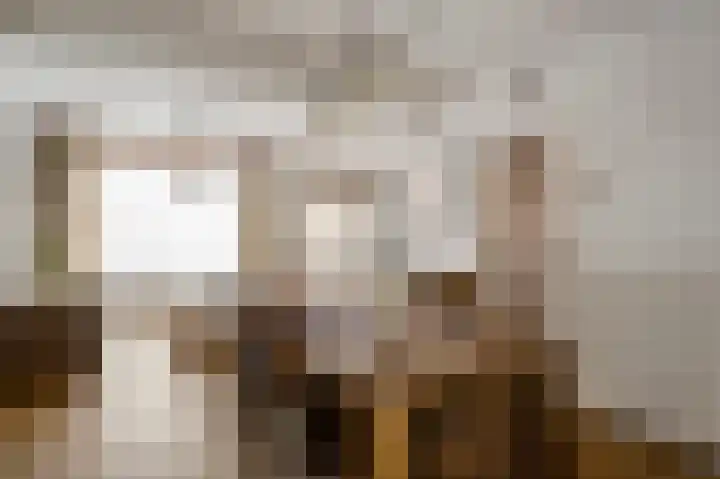 Toomstraat 5 Thorn thumbnail 10