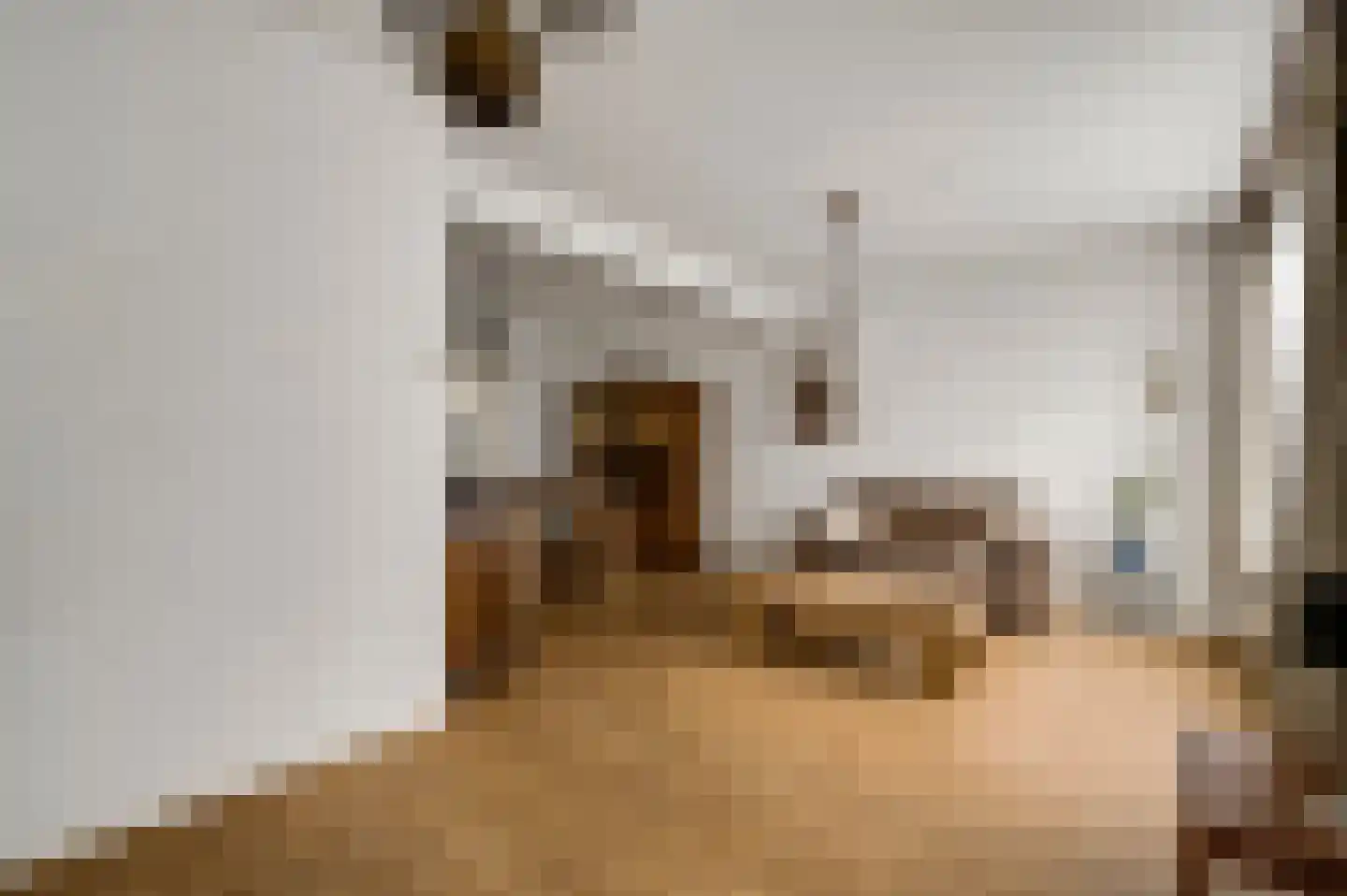 Toomstraat 5 Thorn thumbnail 13