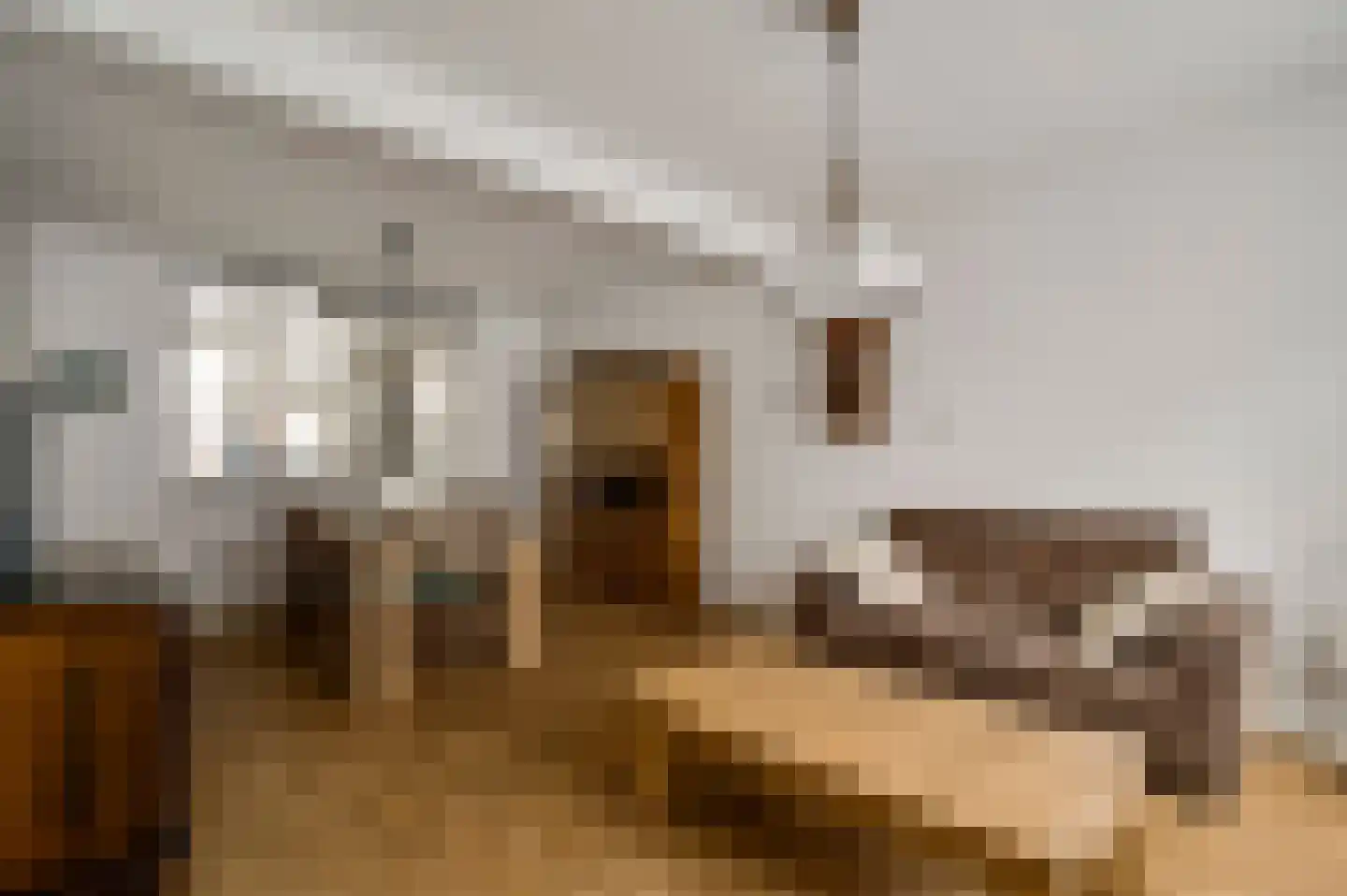 Toomstraat 5 Thorn thumbnail 14