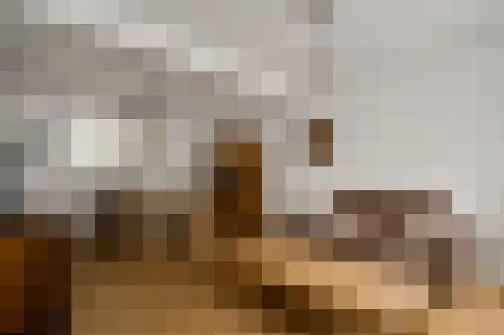Toomstraat 5 Thorn thumbnail 14