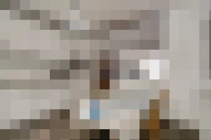 Toomstraat 5 Thorn thumbnail 17