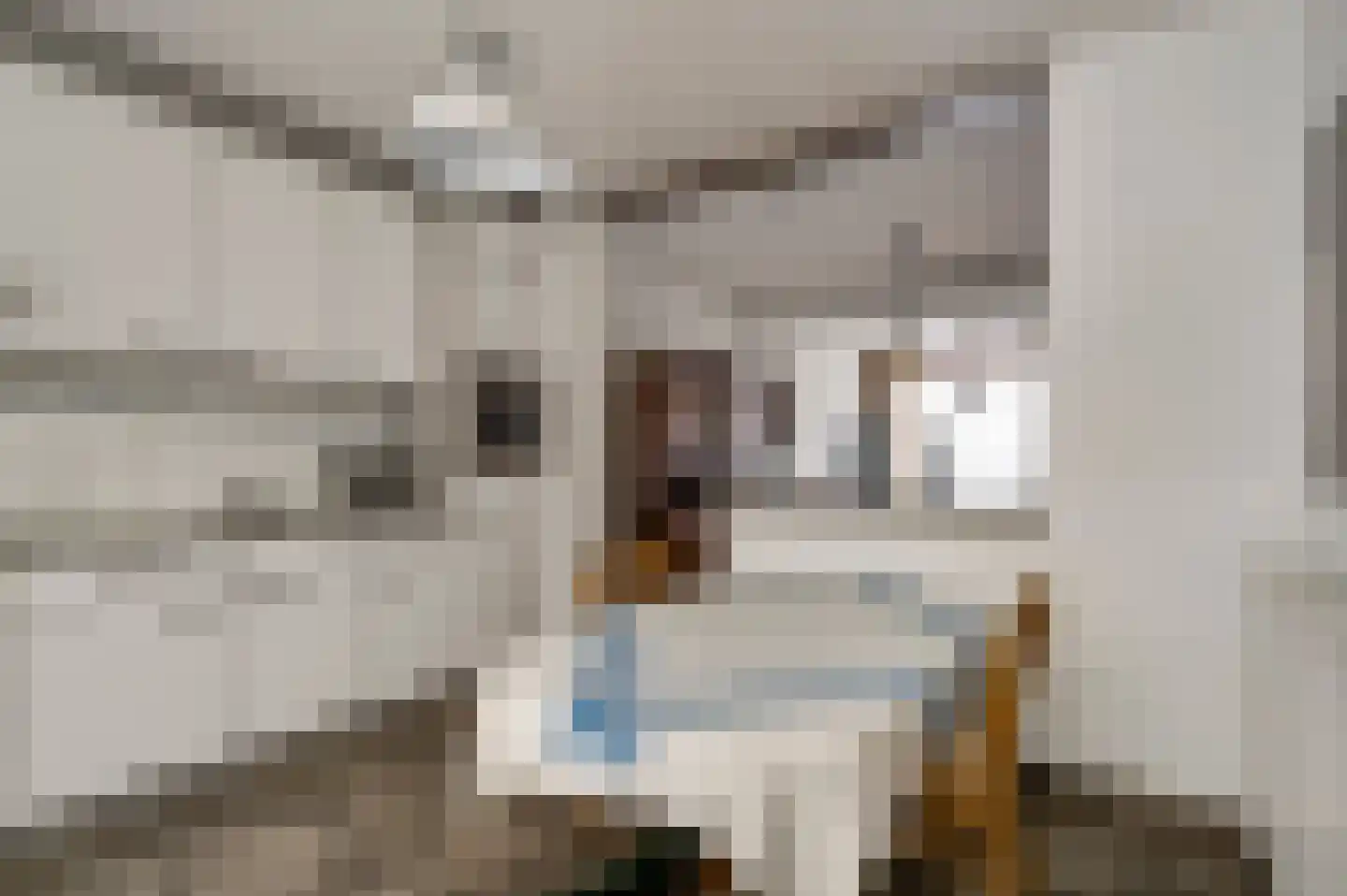 Toomstraat 5 Thorn thumbnail 17