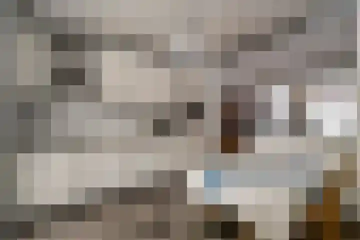 Toomstraat 5 Thorn thumbnail 19