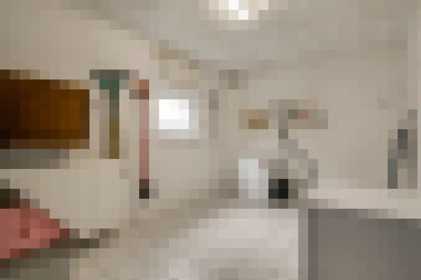 Toomstraat 5 Thorn thumbnail 20
