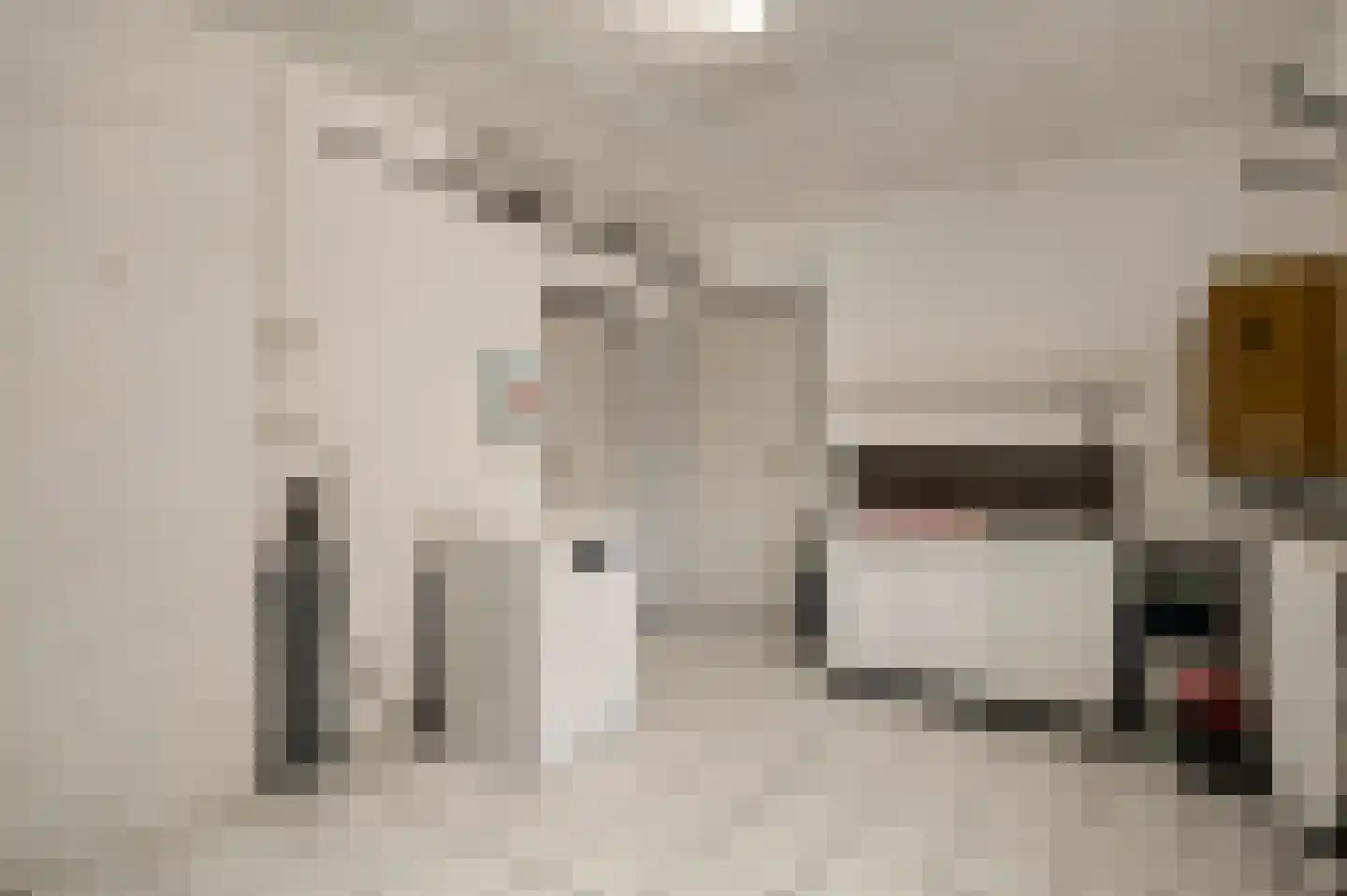 Toomstraat 5 Thorn thumbnail 21