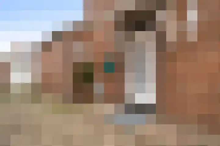 Toomstraat 5 Thorn thumbnail 43