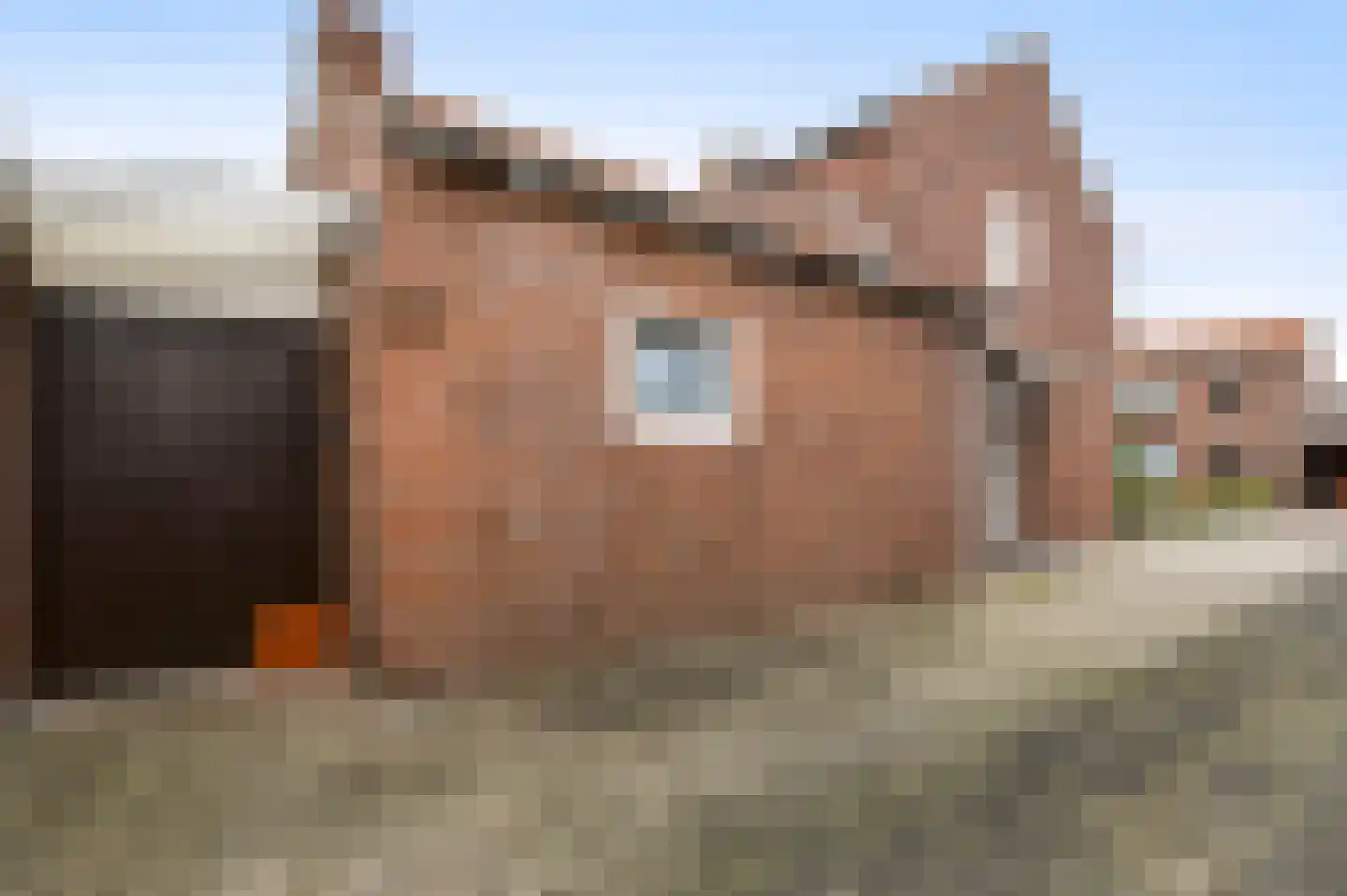 Toomstraat 5 Thorn thumbnail 44