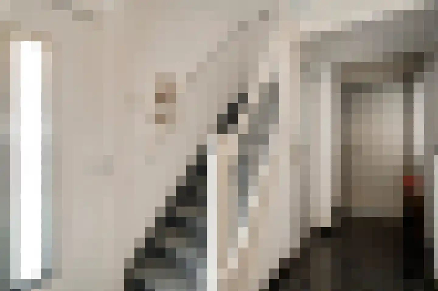 Toomstraat 5 Thorn thumbnail 5