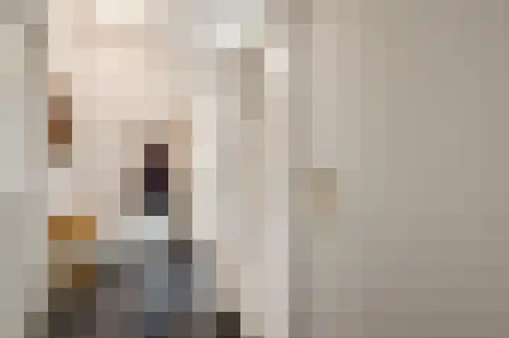 Toomstraat 5 Thorn thumbnail 6