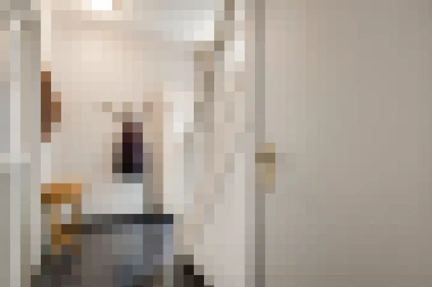 Toomstraat 5 Thorn thumbnail 6