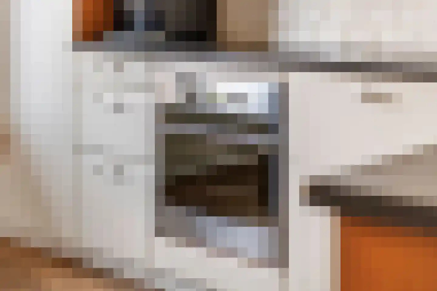 Toon Beynenstraat 13 Beusichem thumbnail 17