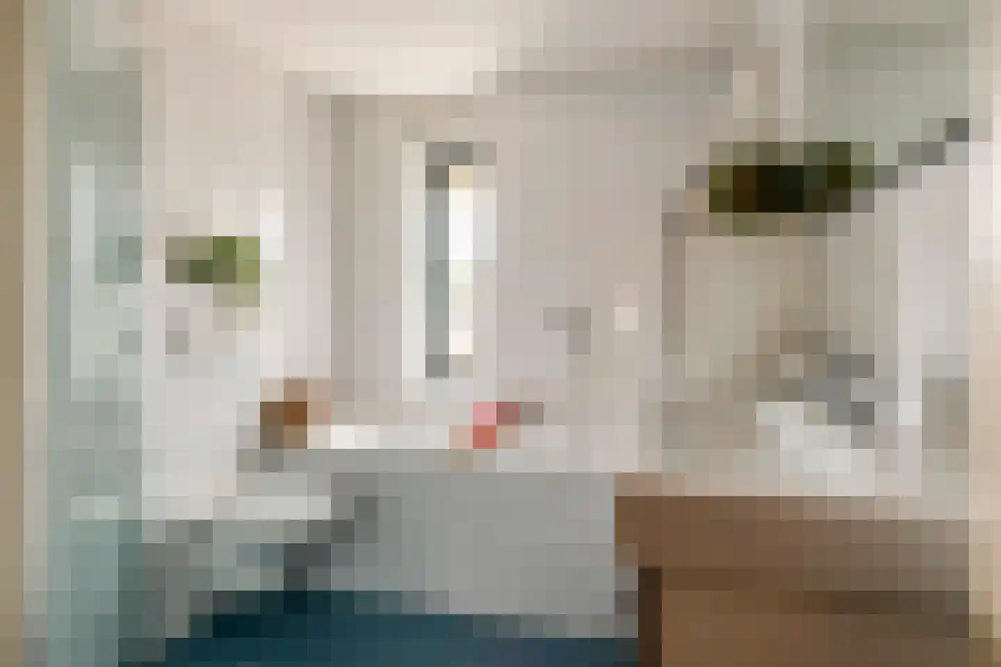 Toon Beynenstraat 13 Beusichem thumbnail 22
