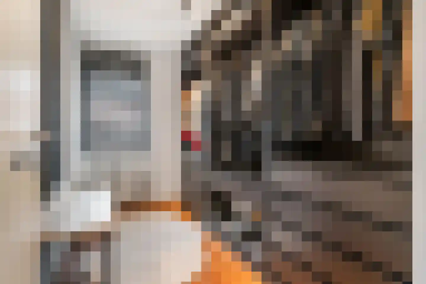 Toon Beynenstraat 13 Beusichem thumbnail 28