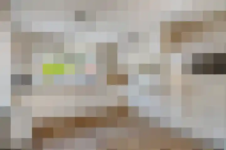 Toon Beynenstraat 5 Beusichem thumbnail 12