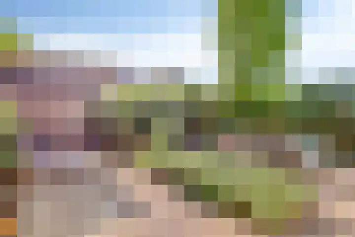 Toon Beynenstraat 5 Beusichem thumbnail 5