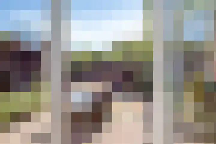 Toon Beynenstraat 5 Beusichem thumbnail 9