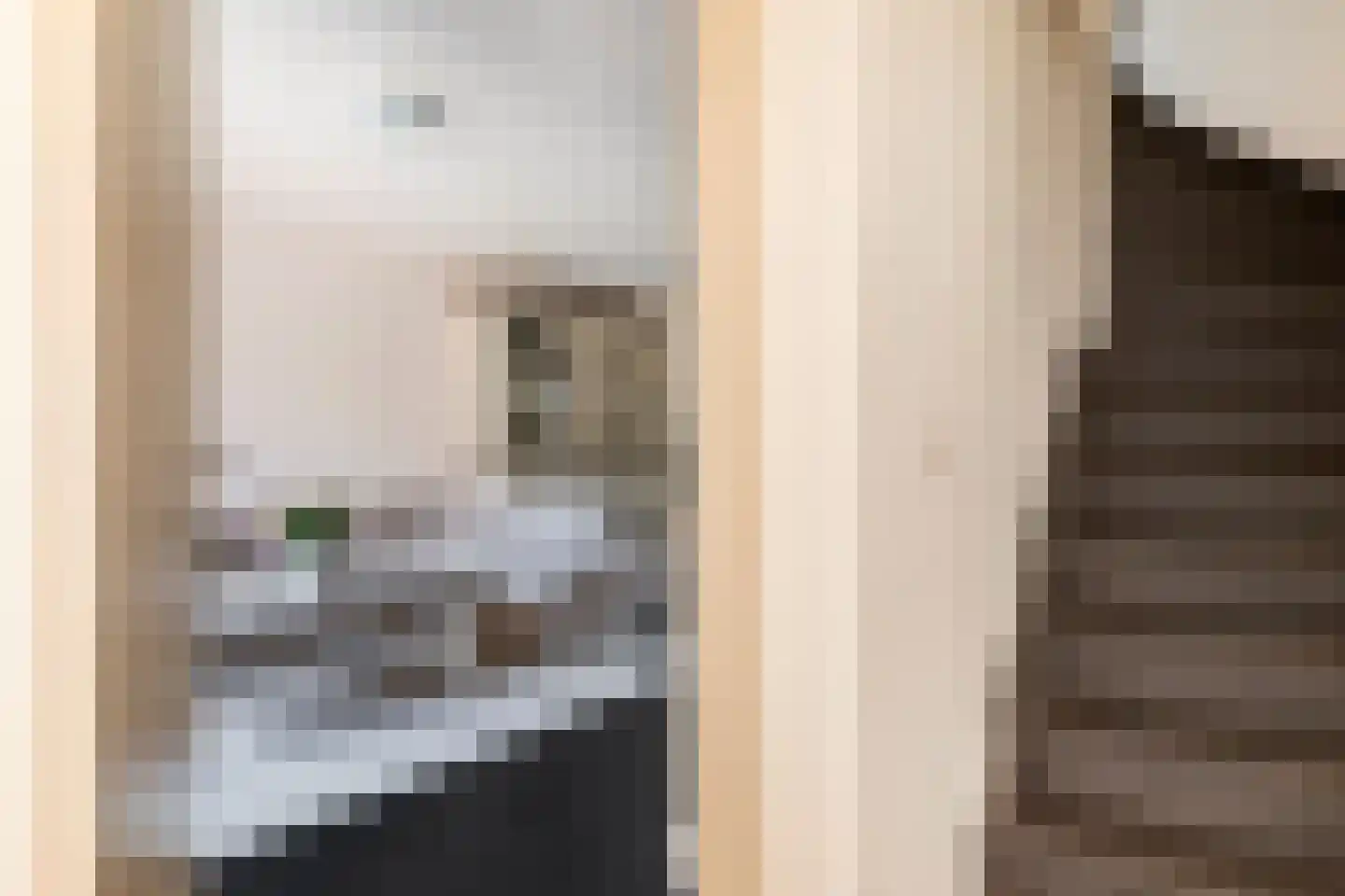 Toon Beynenstraat 6 Beusichem thumbnail 15