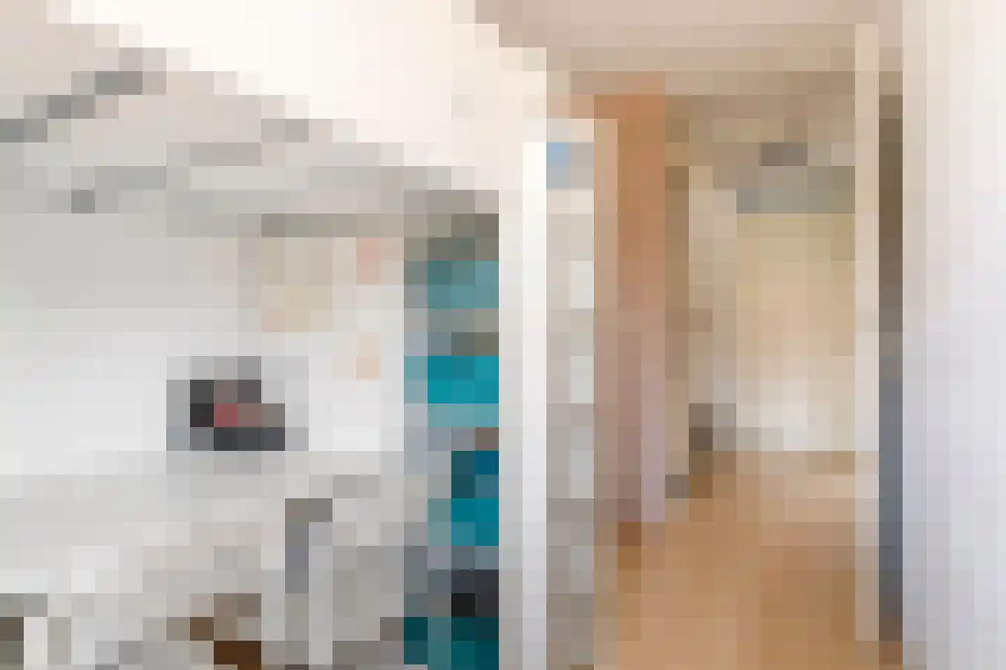 Toon Beynenstraat 6 Beusichem thumbnail 21