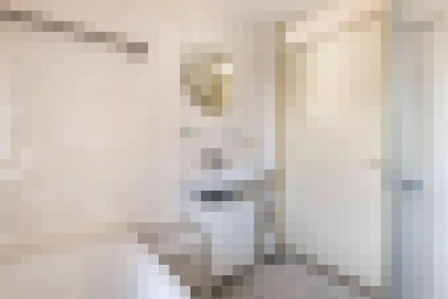 Toon Beynenstraat 6 Beusichem thumbnail 27