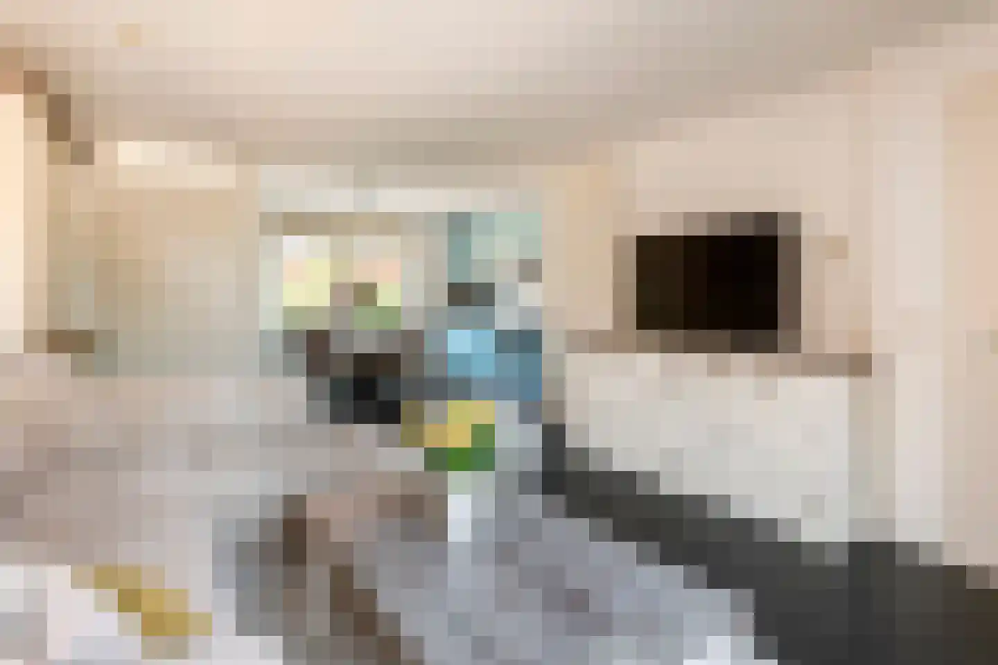 Toon Beynenstraat 6 Beusichem thumbnail 5