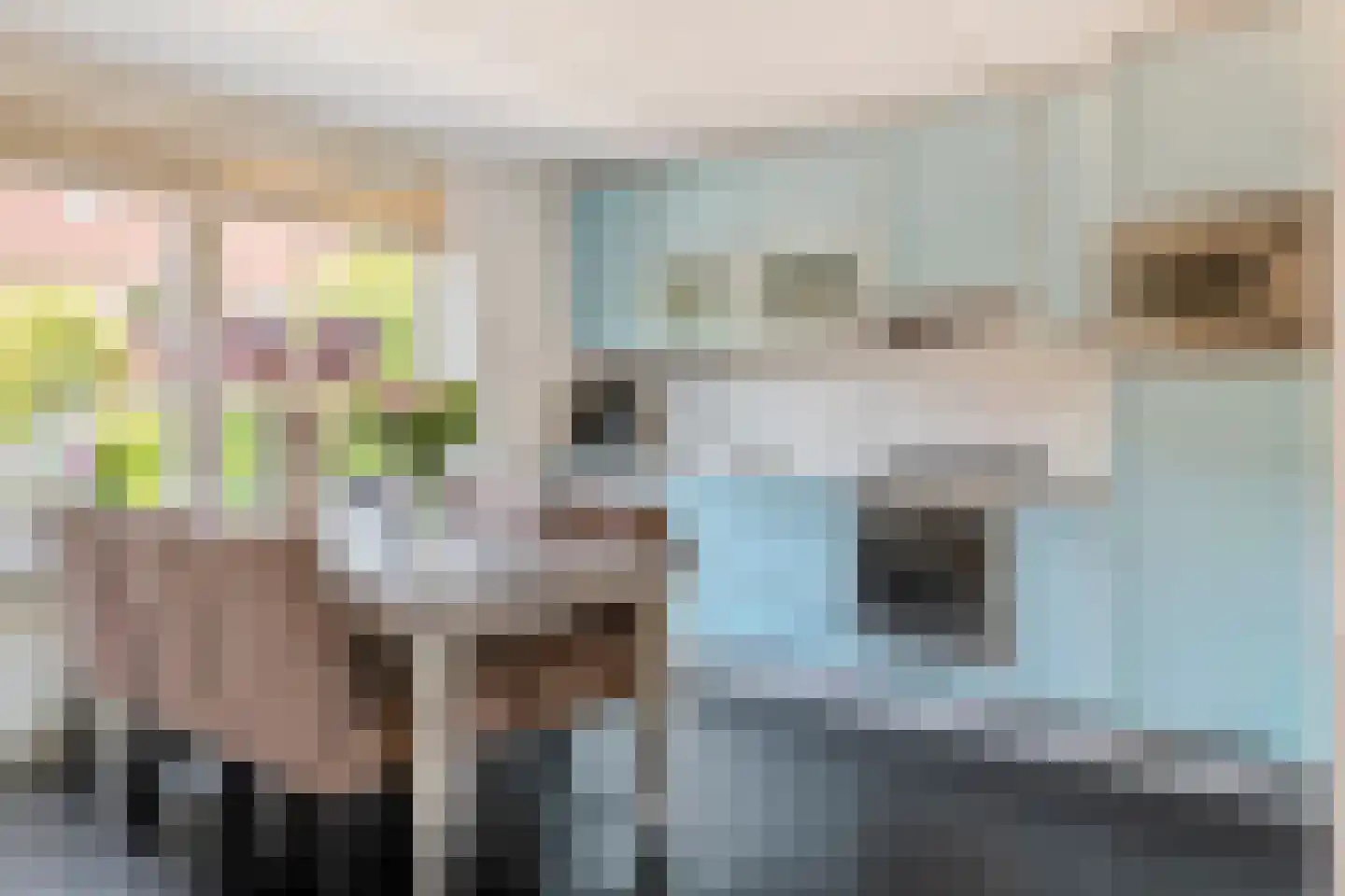 Toon Beynenstraat 6 Beusichem thumbnail 6