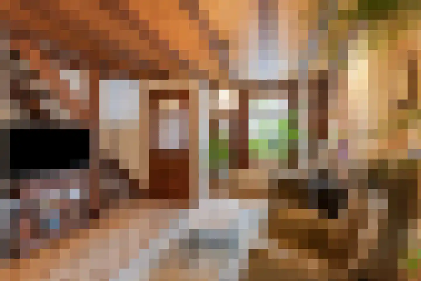Toon Bolsiusstraat 26 Schijndel thumbnail 10