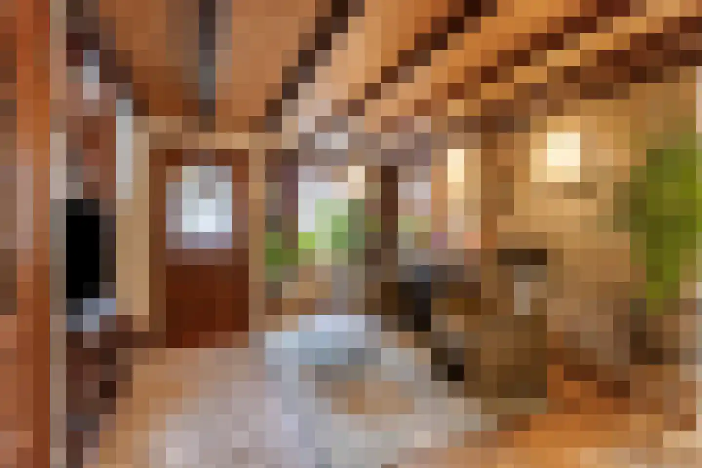 Toon Bolsiusstraat 26 Schijndel thumbnail 17