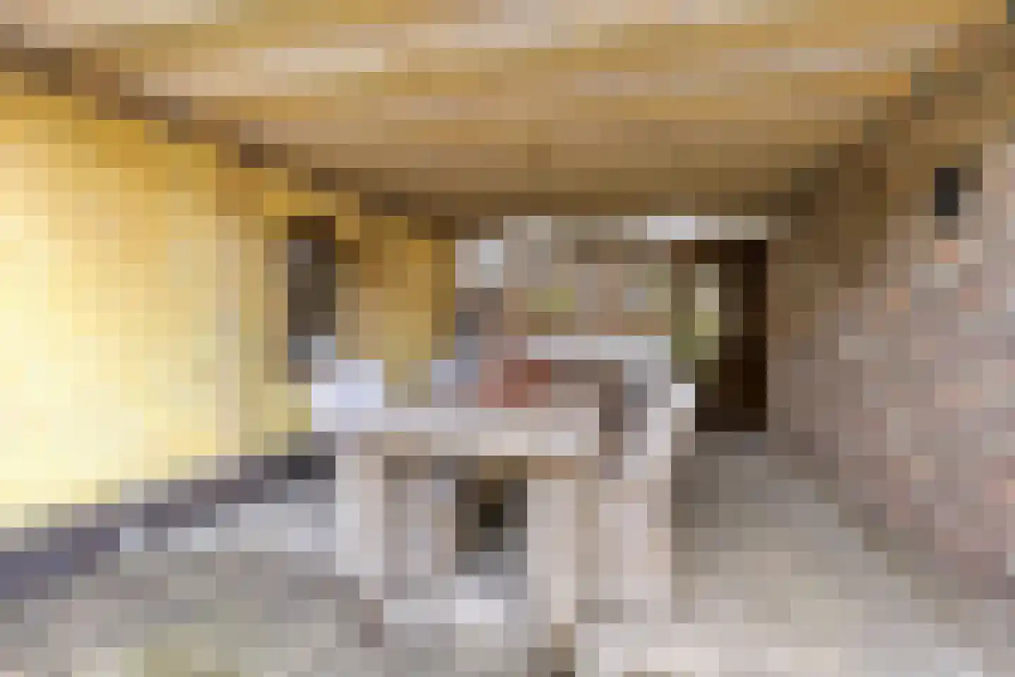 Toon Bolsiusstraat 26 Schijndel thumbnail 37