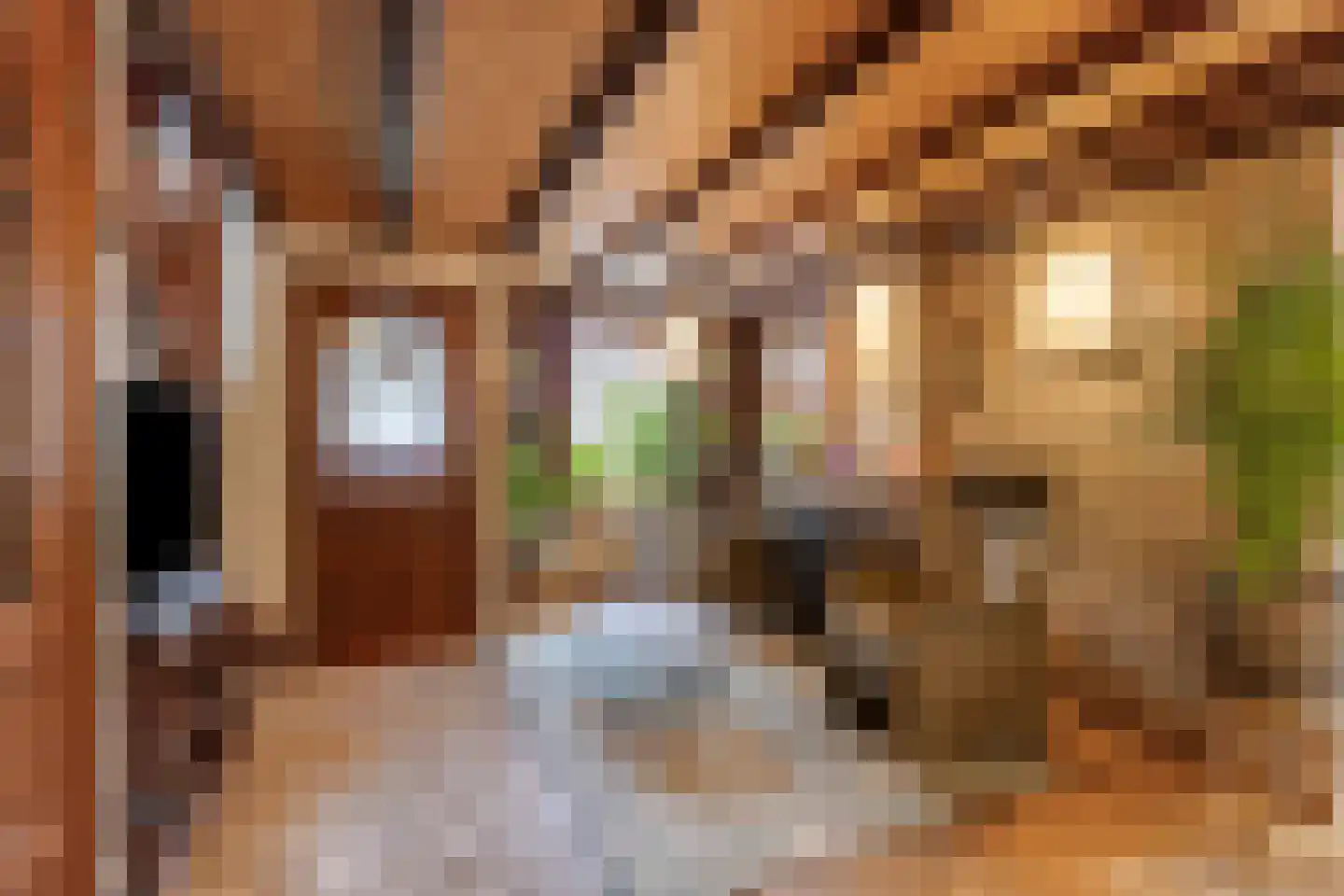 Toon Bolsiusstraat 26 Schijndel thumbnail 9